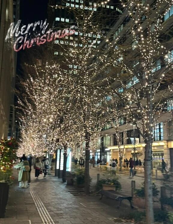 Merry Christmas 🎁🎄