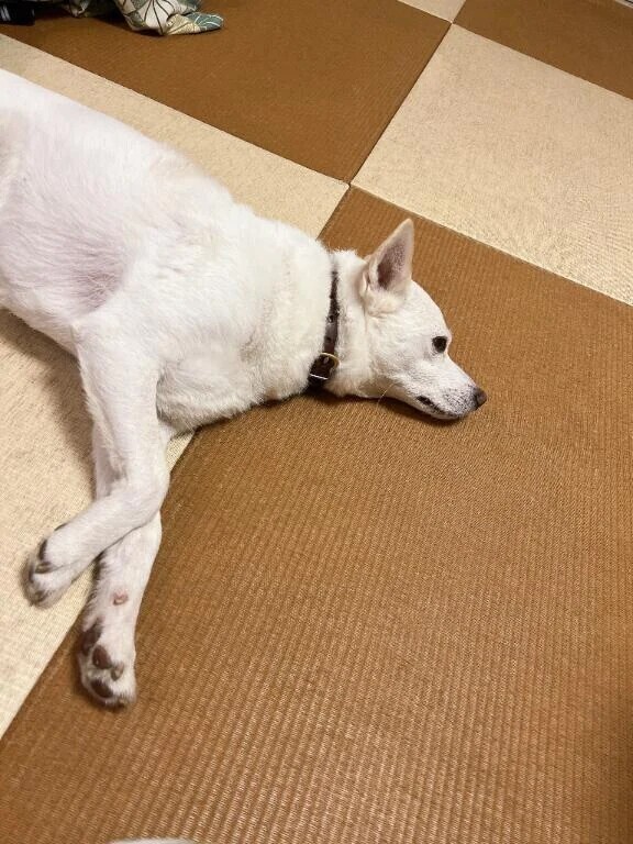 今日の1日👏🏻·͜·👏🏻·͜·👏🏻·͜·