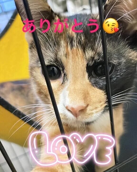 ありがとう♡♡♡