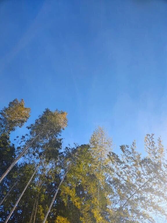 着いた、、、♡