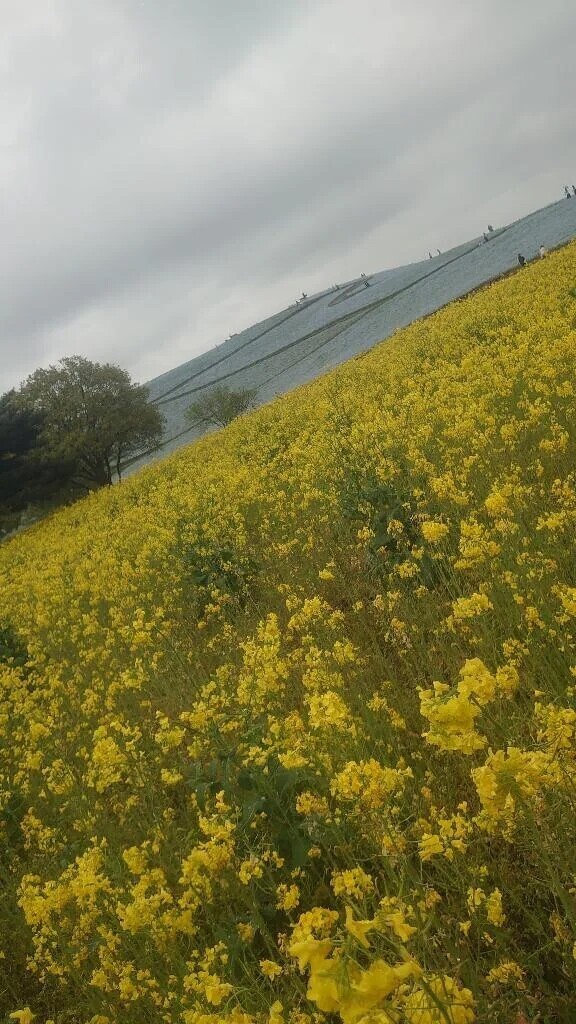 着いた、、、♡