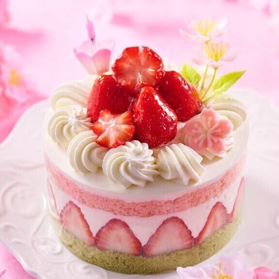 久しぶりです✨