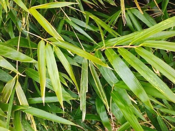 着いた、、、♡