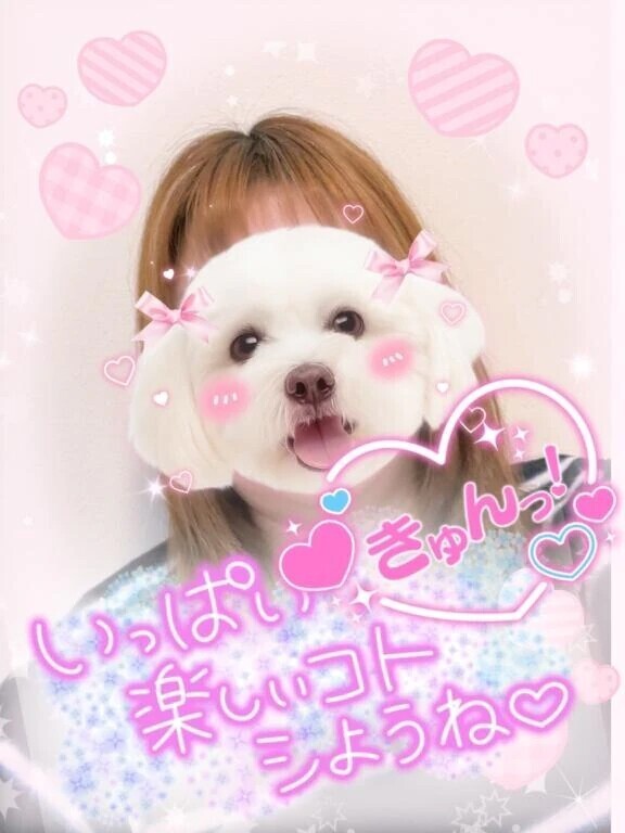 🌸本日20時からです🌸