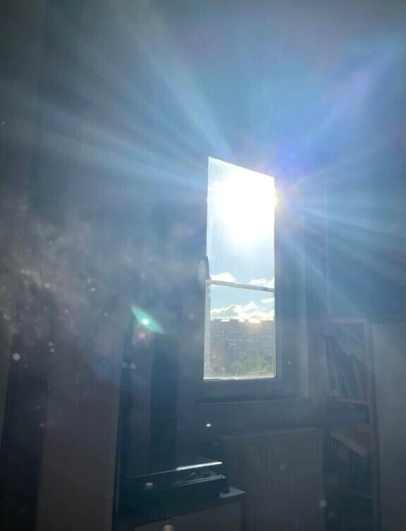 おはようございます☀