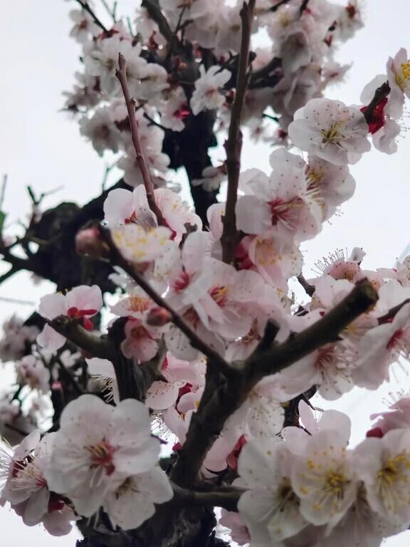 着いた、、、♡