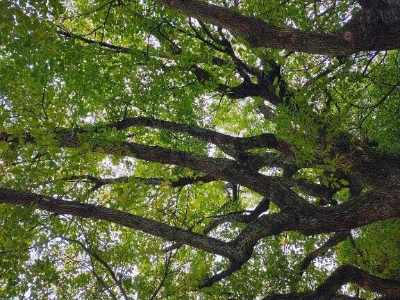 着いた、、、♡