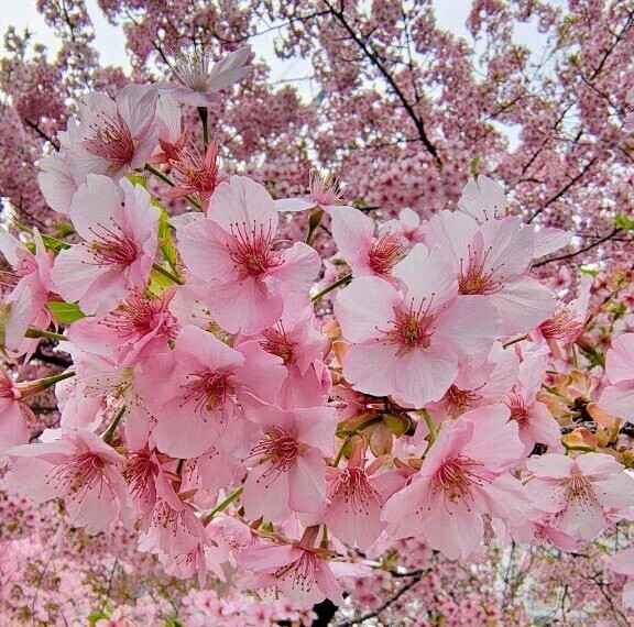 着いた、、、♡