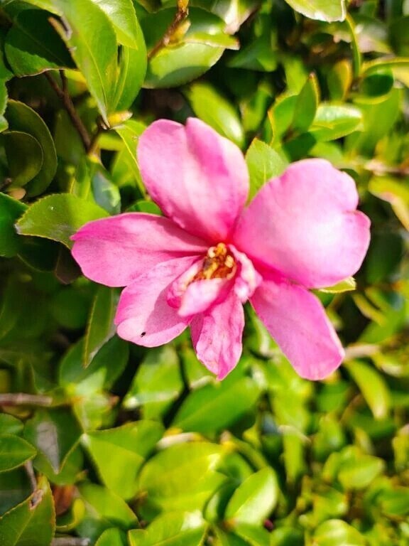 着いた、、、♡