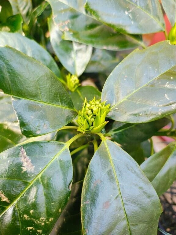 着いた、、、♡