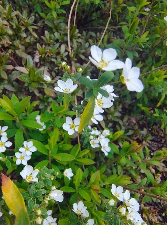 着いた、、、♡