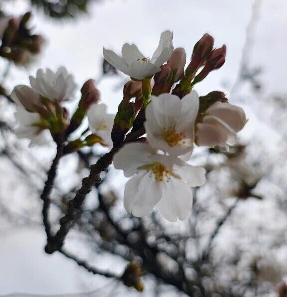 着いた、、、♡