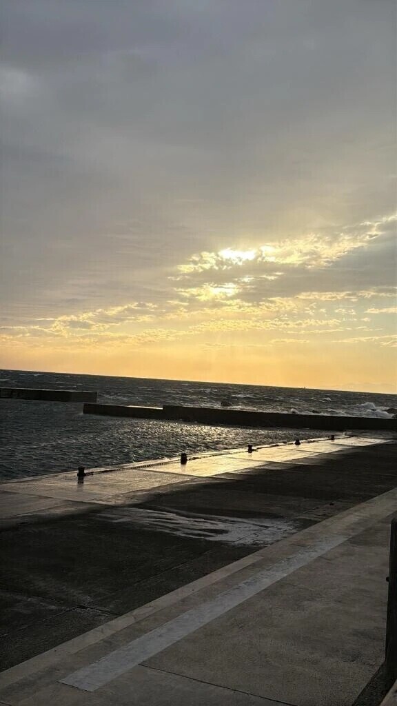 ｻﾞｰlllll( '-' *   )lllllｻﾞｰ