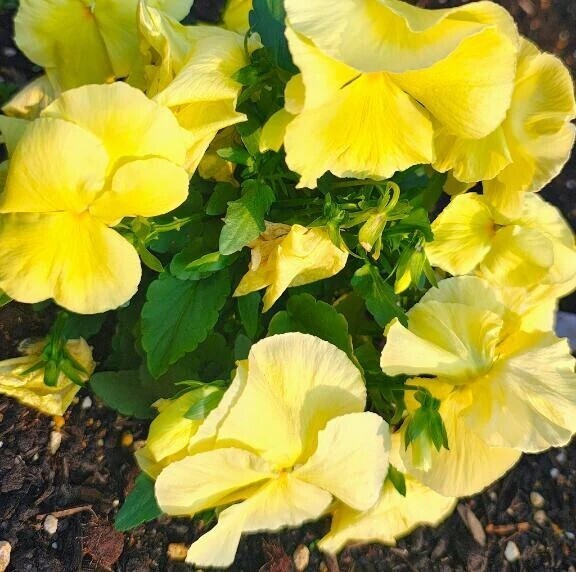 着いた、、、♡