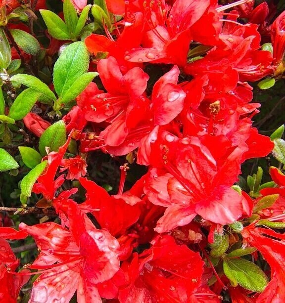 着いた、、、♡