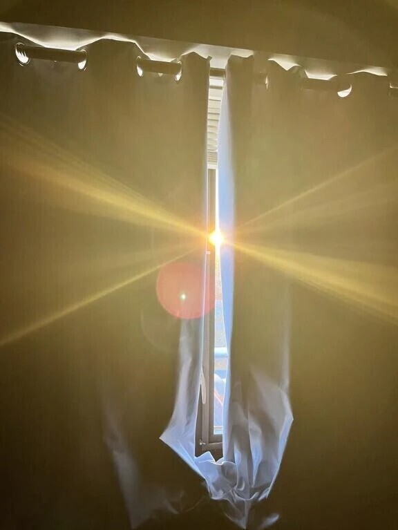 ありがとうございました