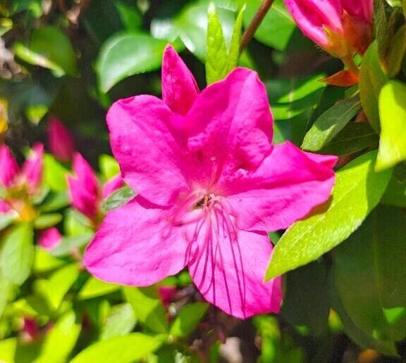 着いた、、、♡