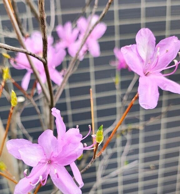 着いた、、、♡