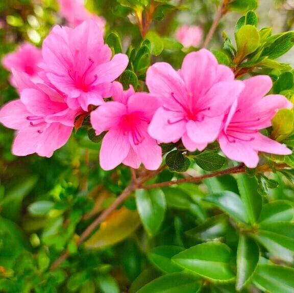 着いた、、、♡