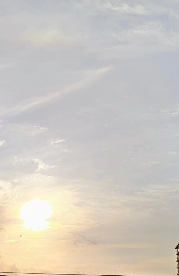 明日も
