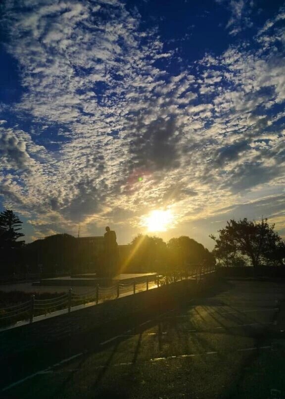 おはようございます☀