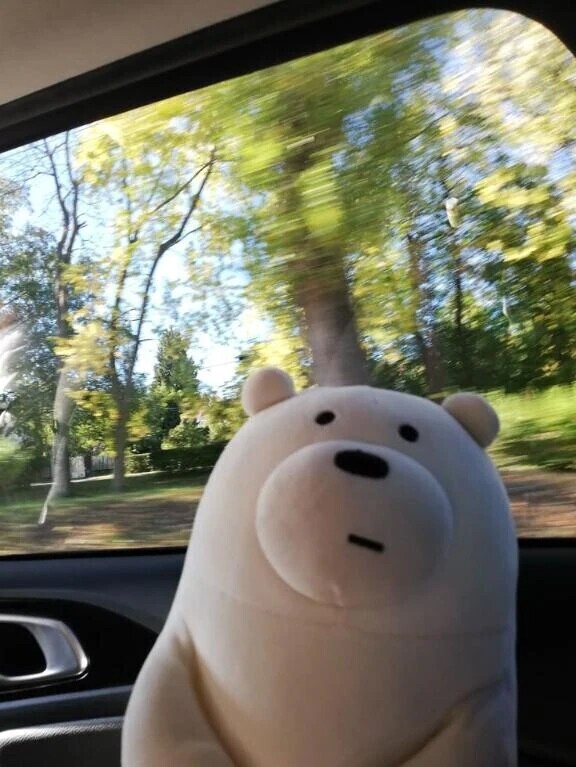 観覧ありがとうございます