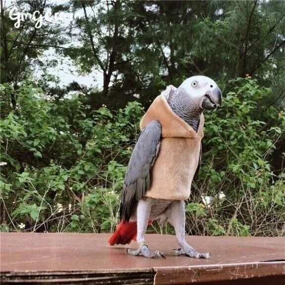 おはようございます