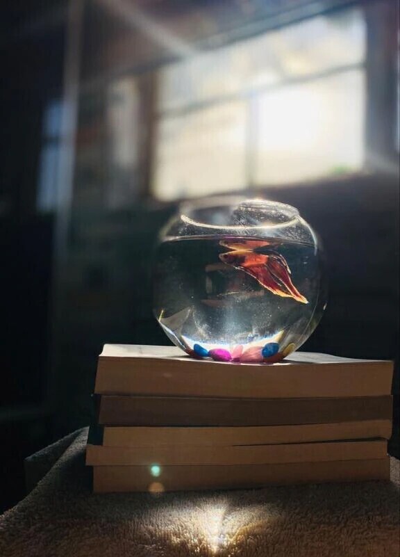 おはようございます