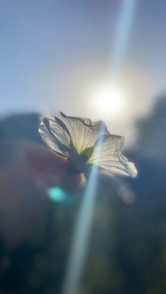 トレーニング続行