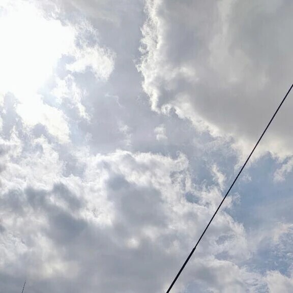 日差し