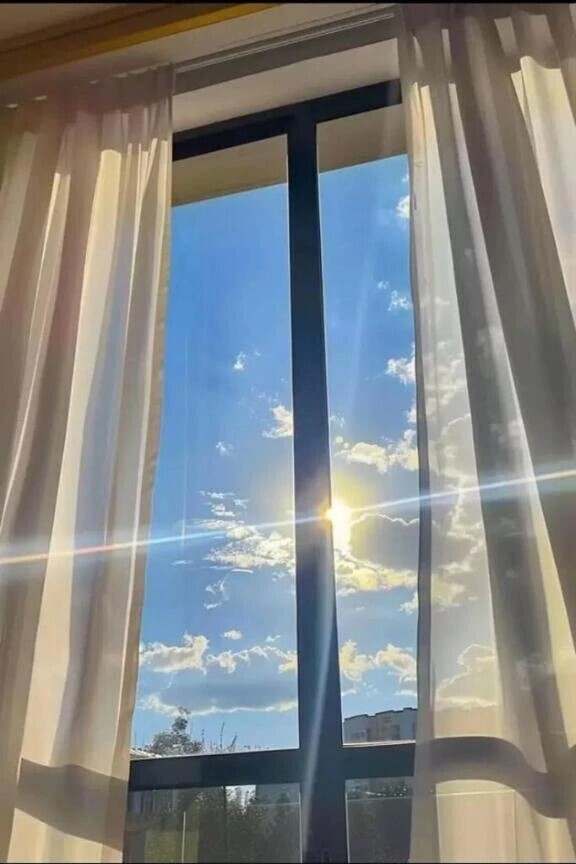 おはようございます