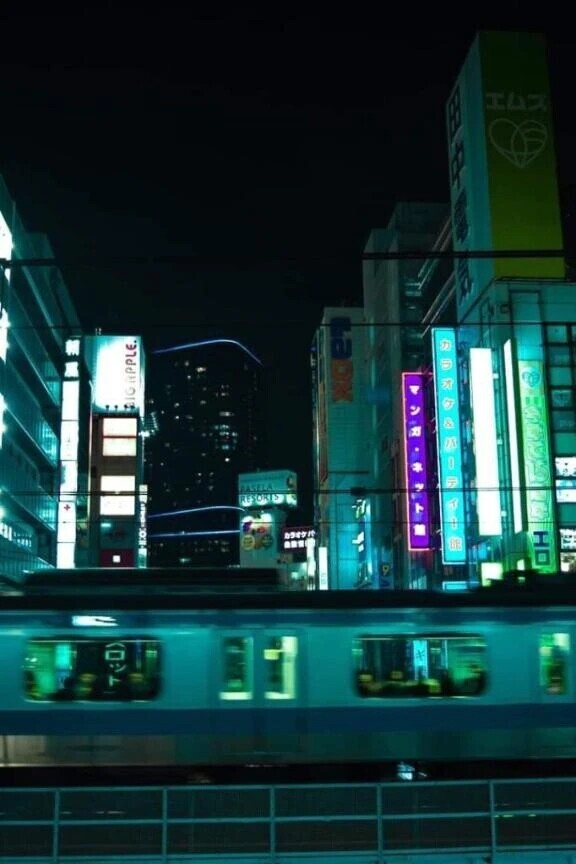 🌃