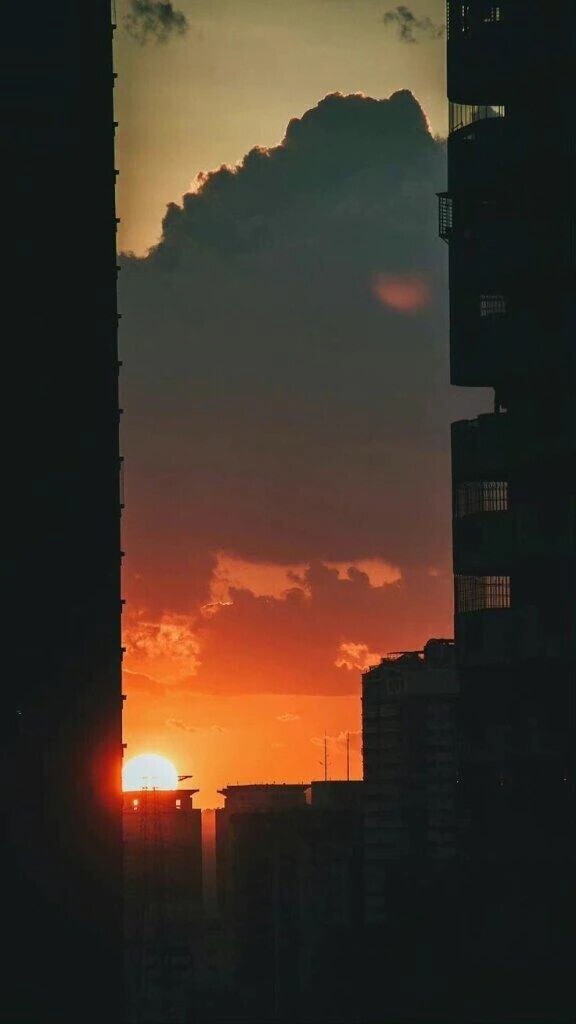 🌆