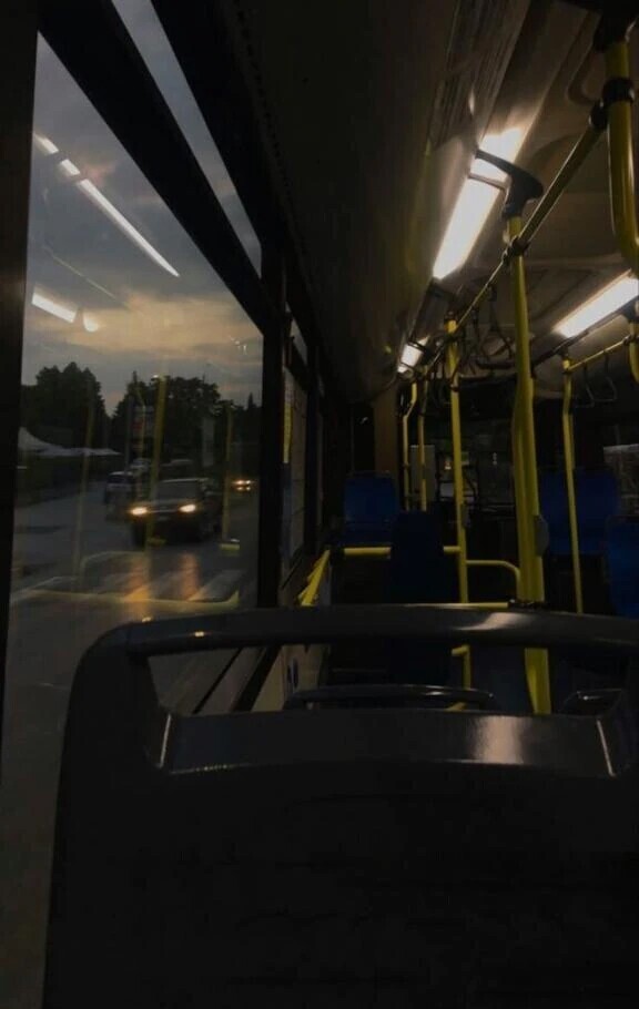 🌃