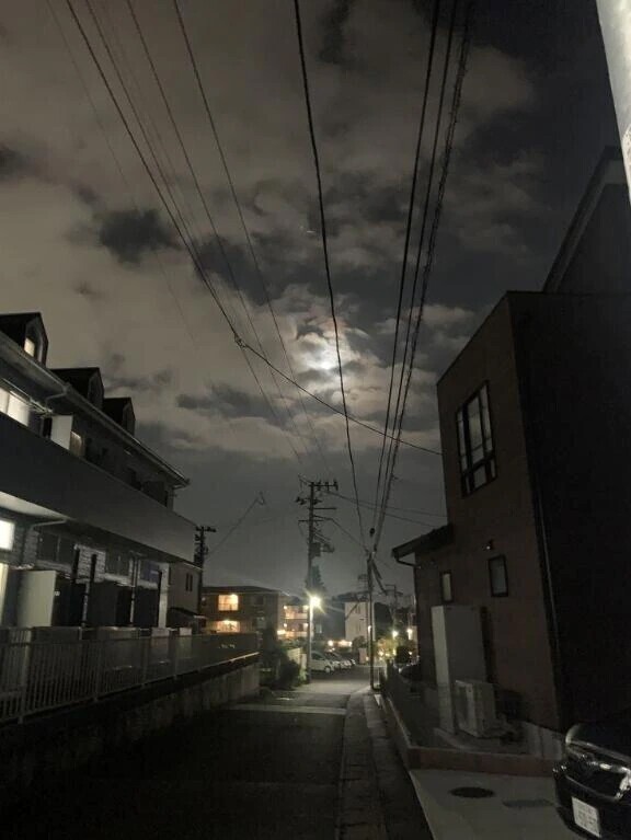見えそうで見えない