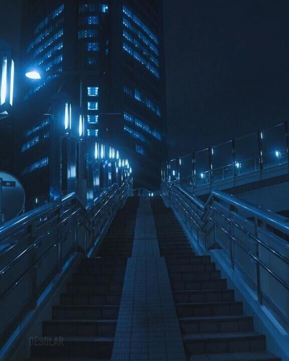 🌃