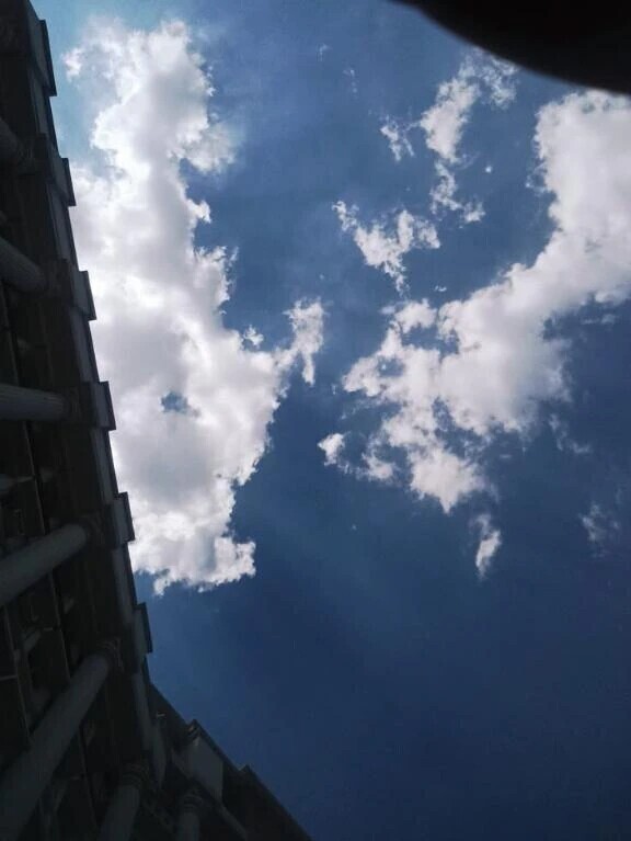 おはようございます