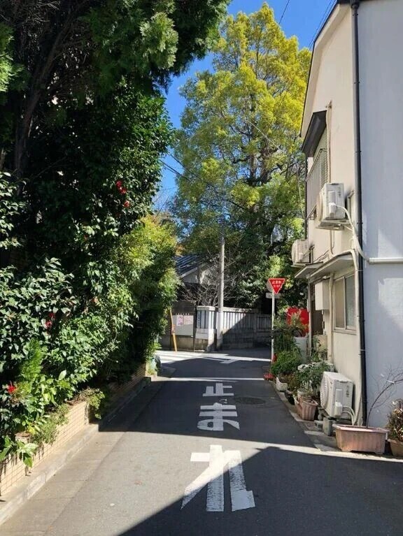 110℃