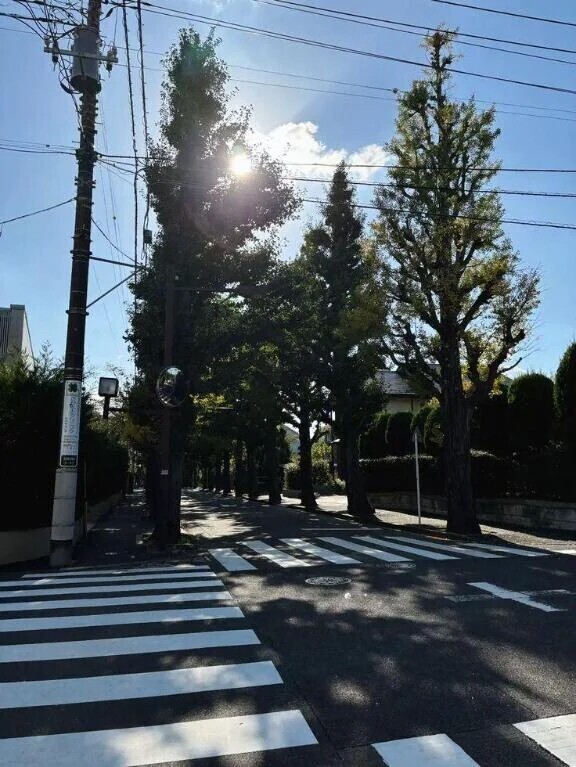 (金)もお疲れ様です