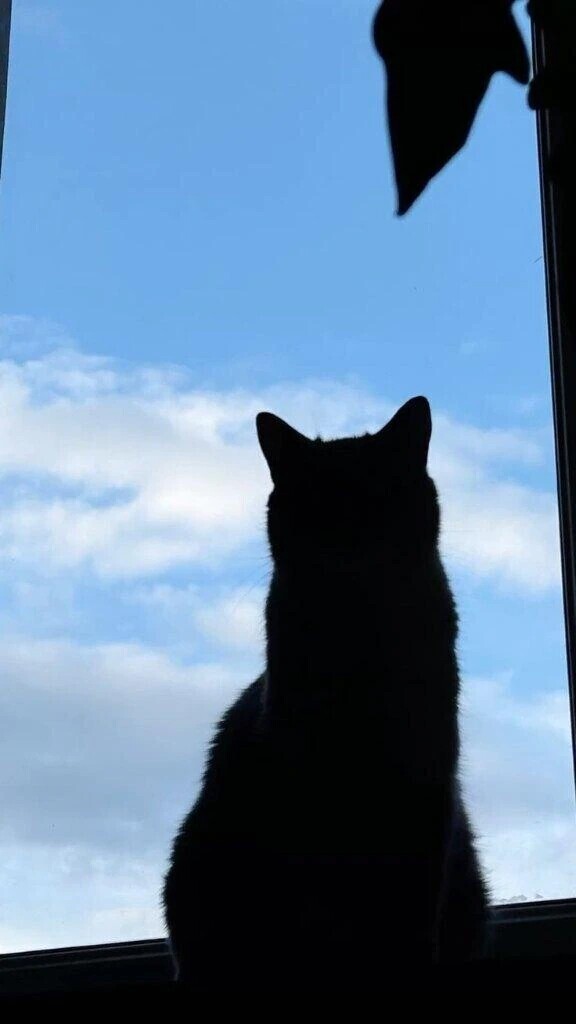 ☀