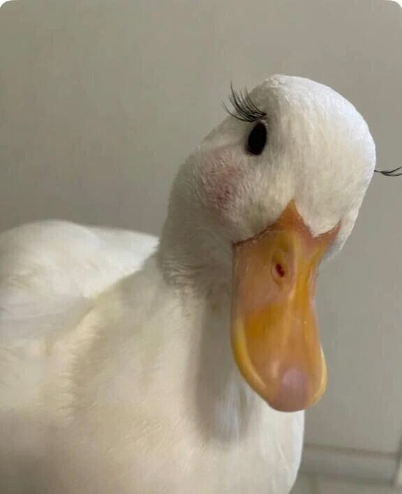 天候悪い日