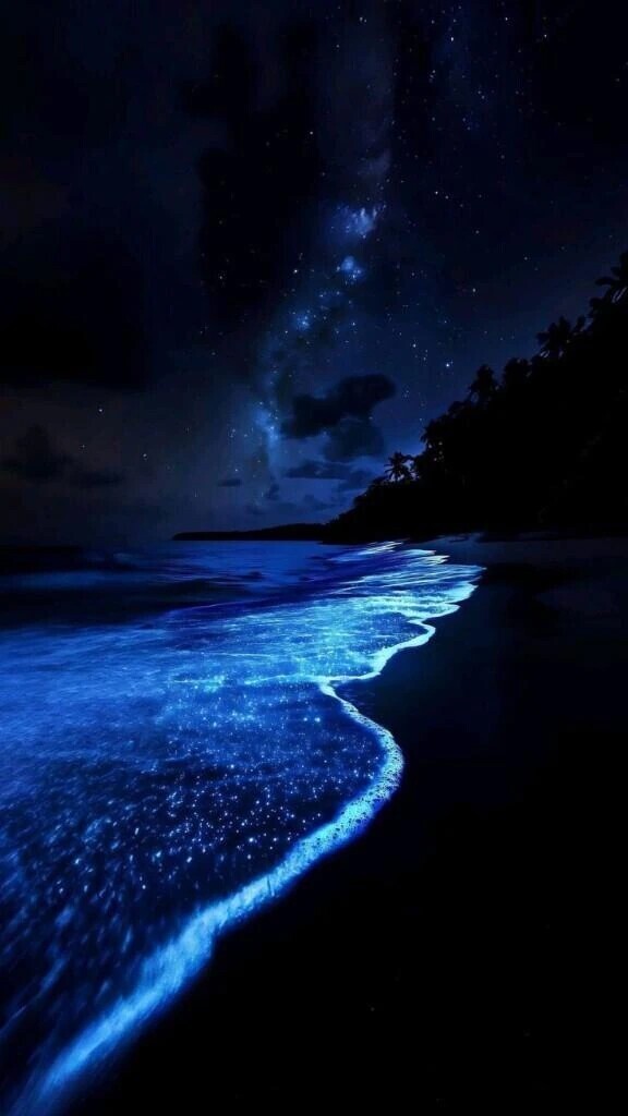 今日の夜は