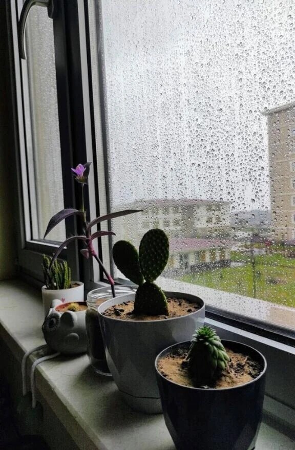 小雨🌂