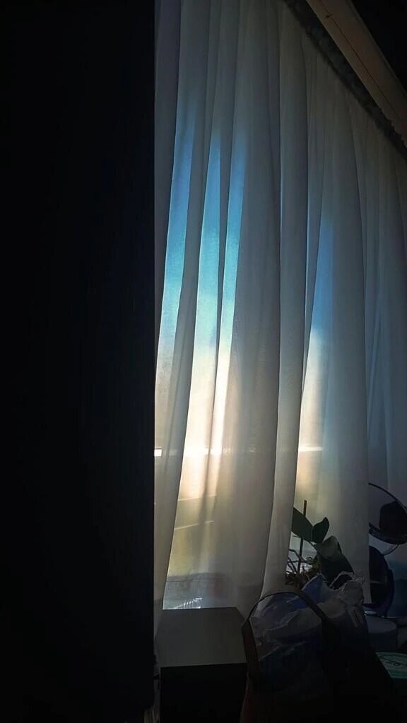 映画を観て脱力