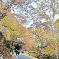 かわいい顔にご用心