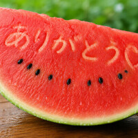 お礼🍉