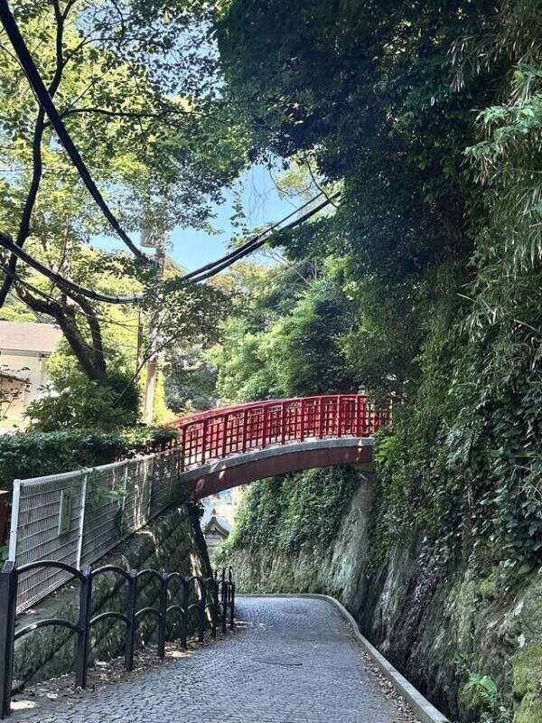 💕最終日に選んでくれてありがとう🥹