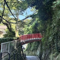💕最終日に選んでくれてありがとう🥹