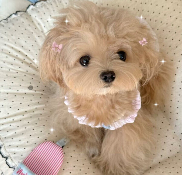 お礼💌えちえち延長うれち💞