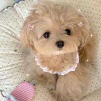 8/11お礼💌お兄さんと過ごす時間すき♡
